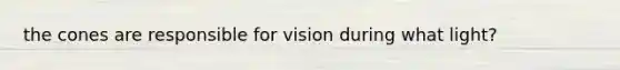 the cones are responsible for vision during what light?