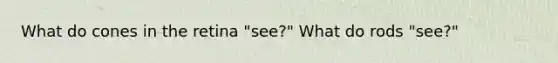 What do cones in the retina "see?" What do rods "see?"