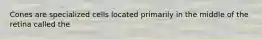 Cones are specialized cells located primarily in the middle of the retina called the