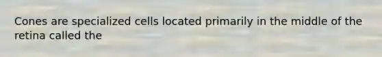 Cones are specialized cells located primarily in the middle of the retina called the