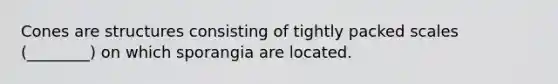 Cones are structures consisting of tightly packed scales (________) on which sporangia are located.