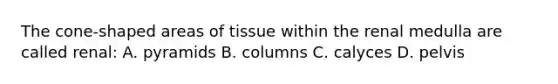 The cone-shaped areas of tissue within the renal medulla are called renal: A. pyramids B. columns C. calyces D. pelvis