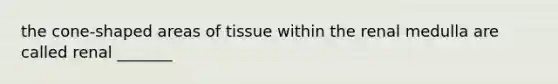 the cone-shaped areas of tissue within the renal medulla are called renal _______