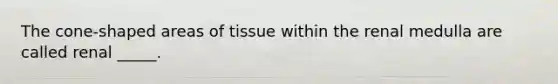 The cone-shaped areas of tissue within the renal medulla are called renal _____.
