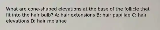 What are cone-shaped elevations at the base of the follicle that fit into the hair bulb? A: hair extensions B: hair papillae C: hair elevations D: hair melanae