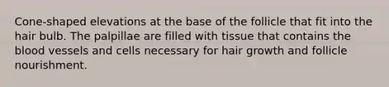 Cone-shaped elevations at the base of the follicle that fit into the hair bulb. The palpillae are filled with tissue that contains the blood vessels and cells necessary for hair growth and follicle nourishment.