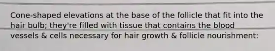 Cone-shaped elevations at the base of the follicle that fit into the hair bulb; they're filled with tissue that contains the blood vessels & cells necessary for hair growth & follicle nourishment: