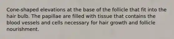 Cone-shaped elevations at the base of the follicle that fit into the hair bulb. The papillae are filled with tissue that contains the blood vessels and cells necessary for hair growth and follicle nourishment.