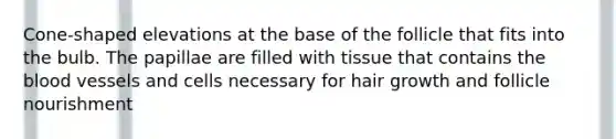 Cone-shaped elevations at the base of the follicle that fits into the bulb. The papillae are filled with tissue that contains the blood vessels and cells necessary for hair growth and follicle nourishment