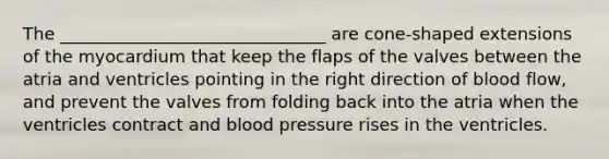 The _______________________________ are cone-shaped extensions of the myocardium that keep the flaps of the valves between the atria and ventricles pointing in the right direction of blood flow, and prevent the valves from folding back into the atria when the ventricles contract and blood pressure rises in the ventricles.