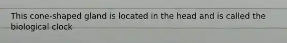 This cone-shaped gland is located in the head and is called the biological clock