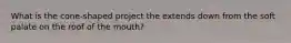 What is the cone-shaped project the extends down from the soft palate on the roof of the mouth?