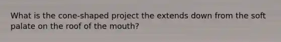 What is the cone-shaped project the extends down from the soft palate on the roof of <a href='https://www.questionai.com/knowledge/krBoWYDU6j-the-mouth' class='anchor-knowledge'>the mouth</a>?