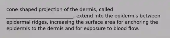 cone-shaped projection of the dermis, called ____________________________, extend into the epidermis between epidermal ridges, increasing the surface area for anchoring the epidermis to the dermis and for exposure to blood flow.