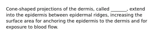 Cone-shaped projections of the dermis, called _______, extend into the epidermis between epidermal ridges, increasing the surface area for anchoring the epidermis to the dermis and for exposure to blood flow.