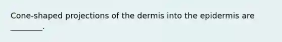 Cone-shaped projections of the dermis into the epidermis are ________.