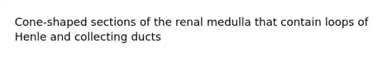 Cone-shaped sections of the renal medulla that contain loops of Henle and collecting ducts