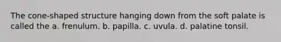 The cone-shaped structure hanging down from the soft palate is called the a. frenulum. b. papilla. c. uvula. d. palatine tonsil.