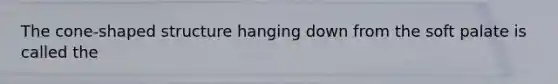 The cone-shaped structure hanging down from the soft palate is called the