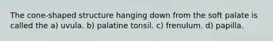 The cone-shaped structure hanging down from the soft palate is called the a) uvula. b) palatine tonsil. c) frenulum. d) papilla.