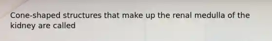 Cone-shaped structures that make up the renal medulla of the kidney are called