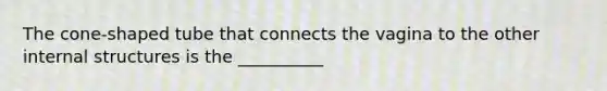 The cone-shaped tube that connects the vagina to the other internal structures is the __________