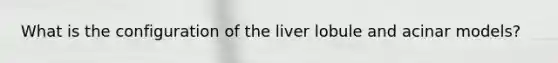 What is the configuration of the liver lobule and acinar models?