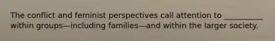 The conflict and feminist perspectives call attention to __________ within groups—including families—and within the larger society.