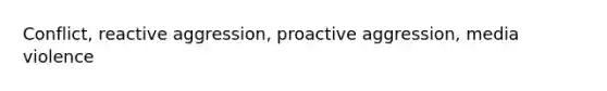 Conflict, reactive aggression, proactive aggression, media violence