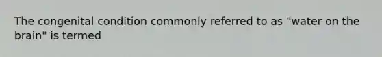 The congenital condition commonly referred to as "water on the brain" is termed