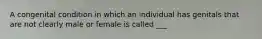 A congenital condition in which an individual has genitals that are not clearly male or female is called ___