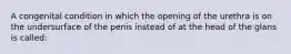 A congenital condition in which the opening of the urethra is on the undersurface of the penis instead of at the head of the glans is called: