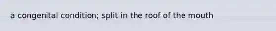 a congenital condition; split in the roof of the mouth