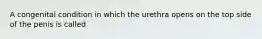 A congenital condition in which the urethra opens on the top side of the penis is called