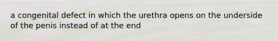 a congenital defect in which the urethra opens on the underside of the penis instead of at the end