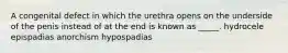 A congenital defect in which the urethra opens on the underside of the penis instead of at the end is known as _____. hydrocele epispadias anorchism hypospadias