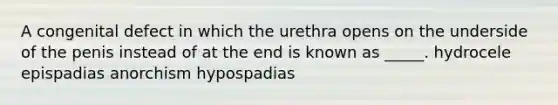 A congenital defect in which the urethra opens on the underside of the penis instead of at the end is known as _____. hydrocele epispadias anorchism hypospadias