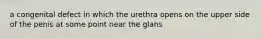 a congenital defect in which the urethra opens on the upper side of the penis at some point near the glans