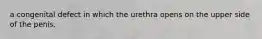 a congenital defect in which the urethra opens on the upper side of the penis.