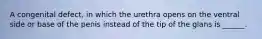 A congenital defect, in which the urethra opens on the ventral side or base of the penis instead of the tip of the glans is ______.