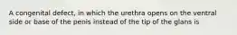 A congenital defect, in which the urethra opens on the ventral side or base of the penis instead of the tip of the glans is