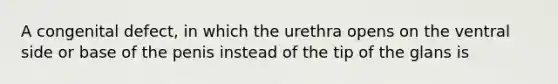 A congenital defect, in which the urethra opens on the ventral side or base of the penis instead of the tip of the glans is