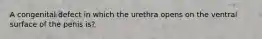 A congenital defect in which the urethra opens on the ventral surface of the penis is?