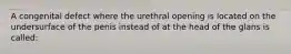 A congenital defect where the urethral opening is located on the undersurface of the penis instead of at the head of the glans is called: