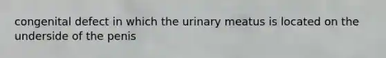 congenital defect in which the urinary meatus is located on the underside of the penis