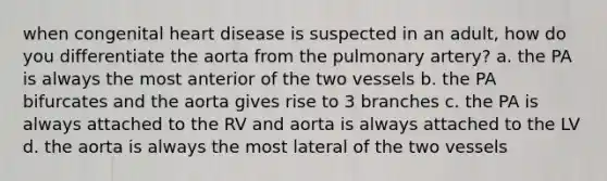 when congenital heart disease is suspected in an adult, how do you differentiate the aorta from the pulmonary artery? a. the PA is always the most anterior of the two vessels b. the PA bifurcates and the aorta gives rise to 3 branches c. the PA is always attached to the RV and aorta is always attached to the LV d. the aorta is always the most lateral of the two vessels