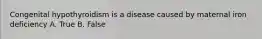 Congenital hypothyroidism is a disease caused by maternal iron deficiency A. True B. False