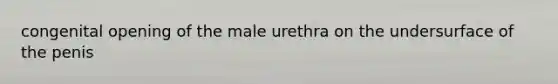 congenital opening of the male urethra on the undersurface of the penis