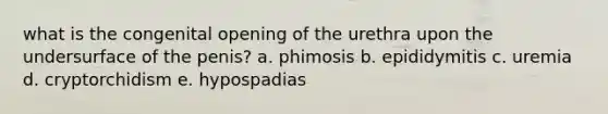 what is the congenital opening of the urethra upon the undersurface of the penis? a. phimosis b. epididymitis c. uremia d. cryptorchidism e. hypospadias