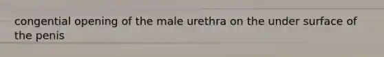 congential opening of the male urethra on the under surface of the penis